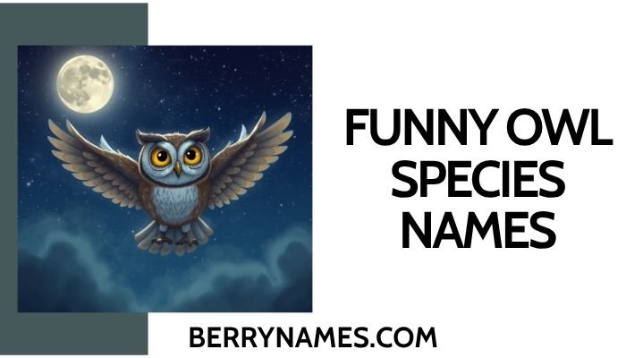 Funny Owl Species Names