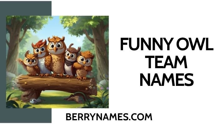 Funny Owl Team Names
