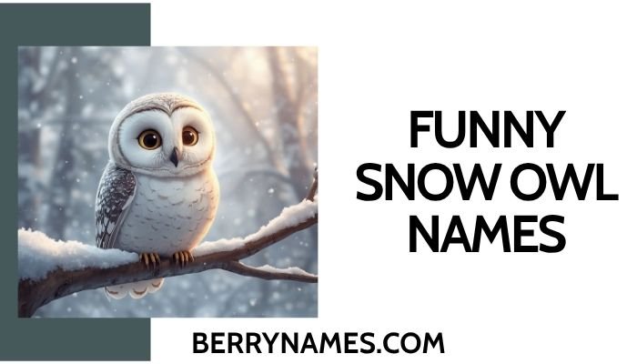 Funny Snow Owl Names