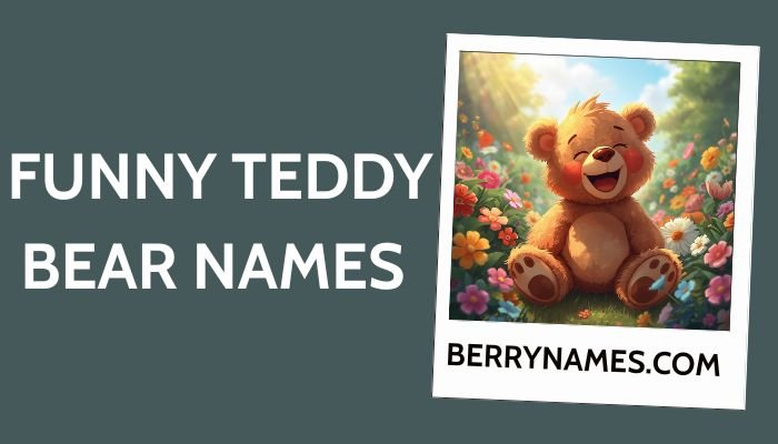 Funny Teddy Bear Names