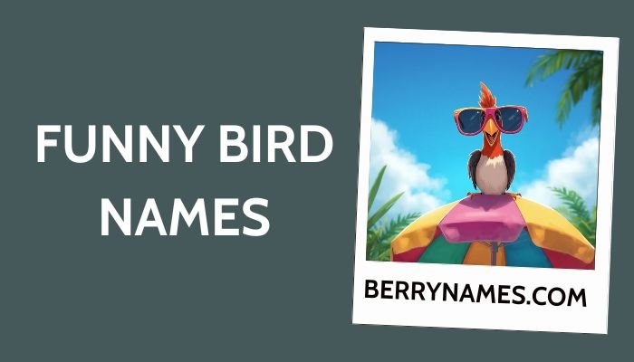 Funny bird names