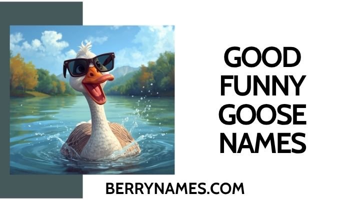 Good Funny Goose Names