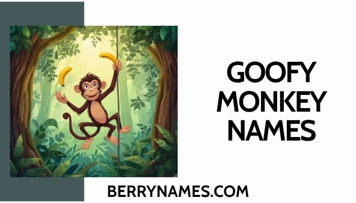 Goofy Monkey Names
