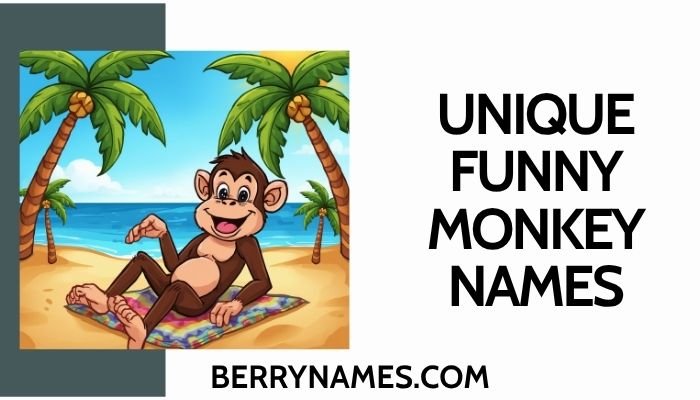 Unique Funny Monkey Names