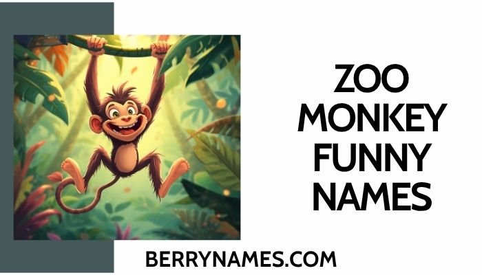 Zoo Monkey Funny Names