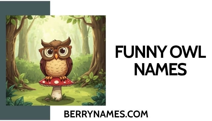funny owl names 